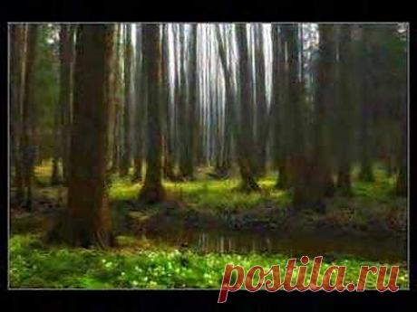 Лирическая (Марине)  Vladimir Vysotsky - YouTube