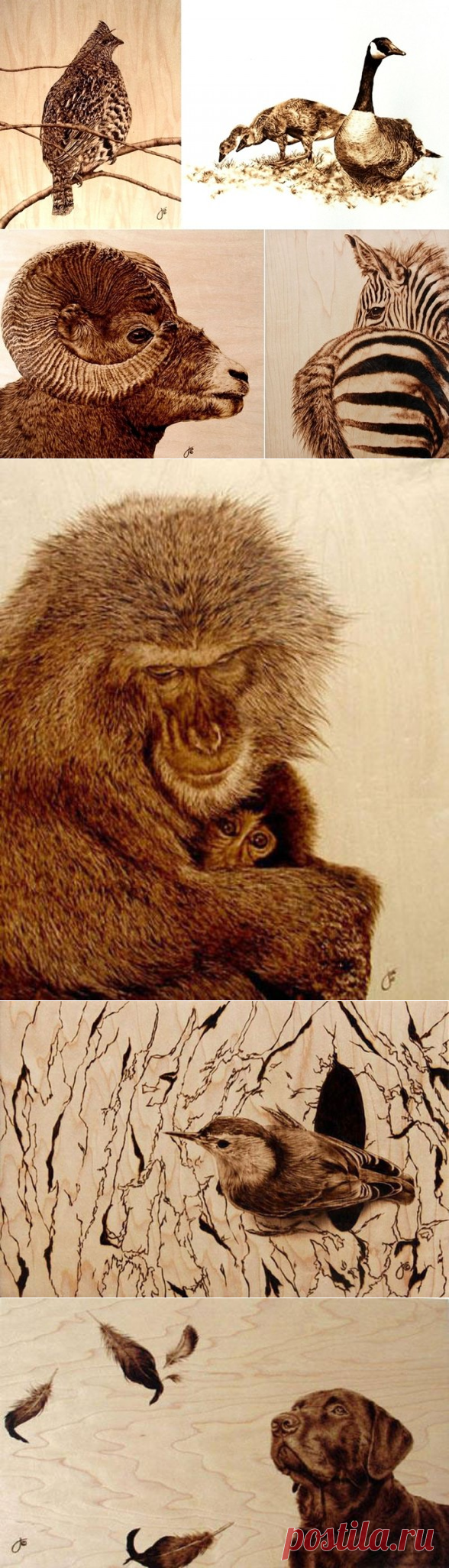 Потрясающие картины, выжженные на кленовых дощечках