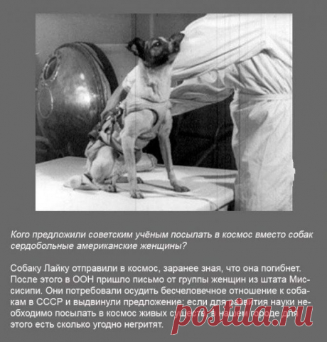 Требуются МЕНЕДЖЕРЫ для работы в интернет-магазине.  Работа ИНФОРМАЦИОННАЯ, БЕЗ продаж и БЕЗ вложений. На 2-3 часа в день. Выход с ПК или ноутбука. ДОХОД БЕЛЫЙ НА РАСЧЕТНЫЙ СЧЕТ В БАНКЕ, ОФОРМЛЕНИЕ ОФИЦИАЛЬНОЕ.