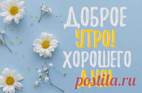 Доброе утро, хорошего дня
