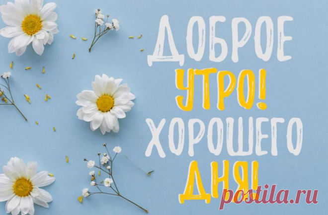 Доброе утро, хорошего дня