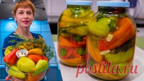 Болгарский перец - Планировали на зиму, а улетел за 3 дня!