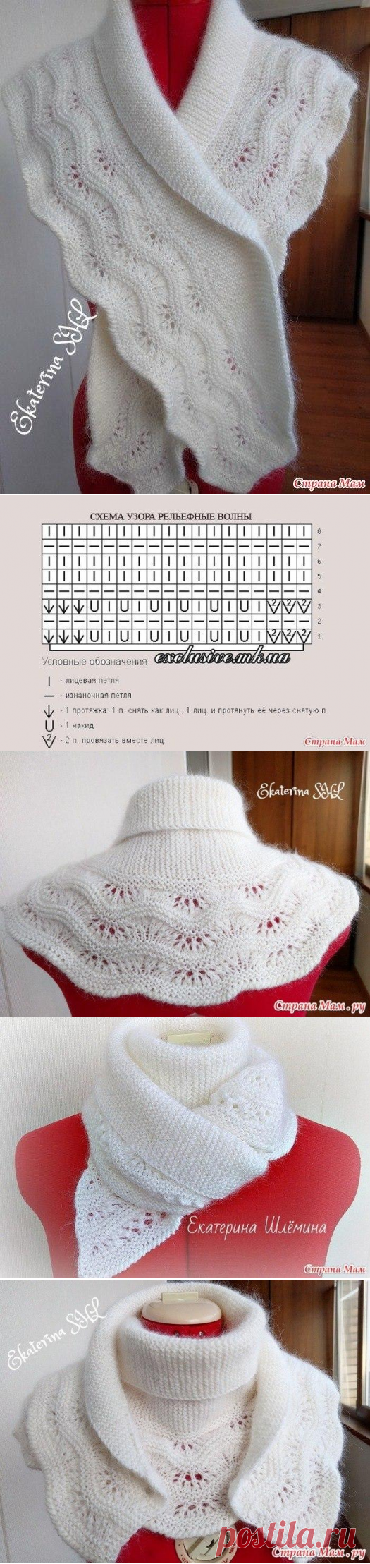 Бактус с волнистой каймой
