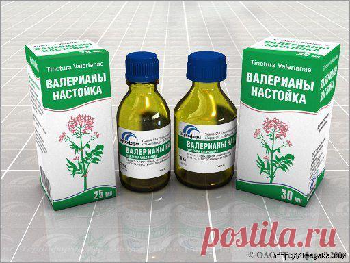 "Пять настоек" - народное средство от гипертонии