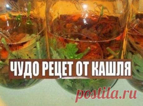 РЕЦЕПТ ОТ СИЛЬНОГО КАШЛЯ

Когда иммунитет ослаблен, то возможны осложнения при болезнях горла и насморке. Если болезнь затянулась и начался кашель, то срочно нужно применять более действенные меры. Вам поможет этот Чудо-рецепт от кашля.

В 500 мл кипятка нужно добавить три листка герани и три поломанных грецких ореха прямо в скорлупе.
Показать полностью...