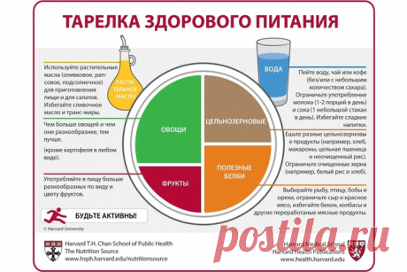 Тарелка здорового питания - принцип гарвардской тарелки.