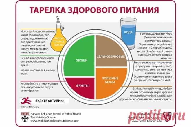 Тарелка здорового питания - принцип гарвардской тарелки.