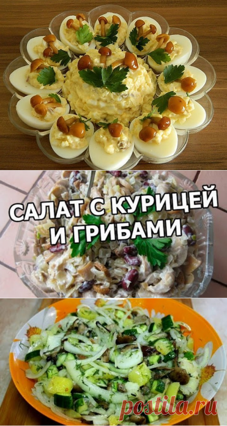 Одноклассники