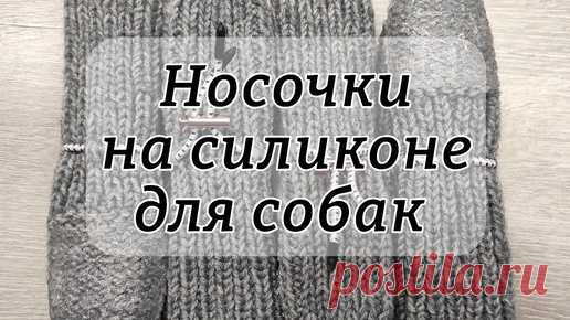Носочки для собак на силиконе | Татьяна Кучерова | Дзен