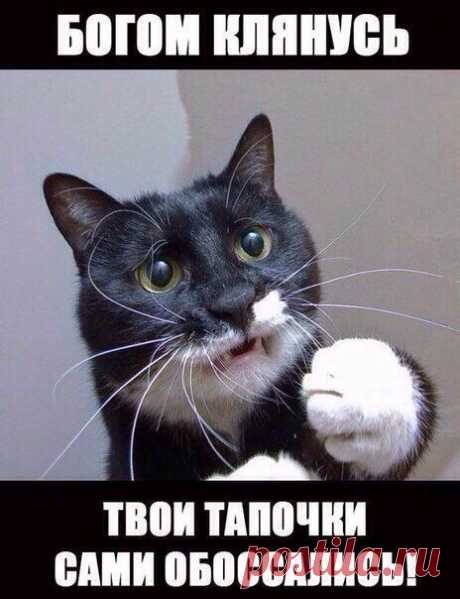 Самое интересное.