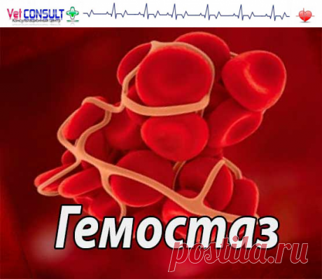 Гемостаз общие понятия | Система свертывания крови | Нарушения гемостаза, исследования