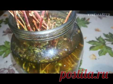Лучше Виагры, настой для мужчин.
