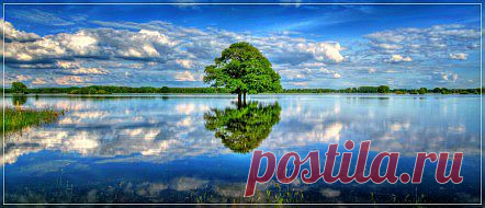 Обои Реки/Озера, обои для рабочего стола Реки/Озера, фотографии лето, простор, одинокое дерево, трава, облака, озеро, Обои для рабочего стола, скачать обои картинки заставки на рабочий стол.