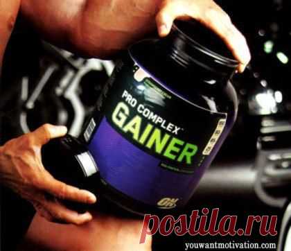 Гейнер / Спорт Сильных!