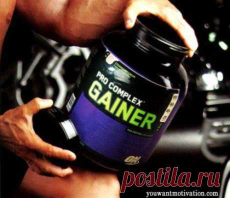 Гейнер / Спорт Сильных!
