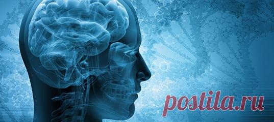 ЖИВИ 🔴 Мозг – самый загадочный орган. Время разгадать его тайны Всё может начаться с головных болей. Как защитить свой мозг от сосудистых и других заболеваний?.. 
💬 Тесен мир, мозг же человека необъятен.
© Фридрих Шиллер
