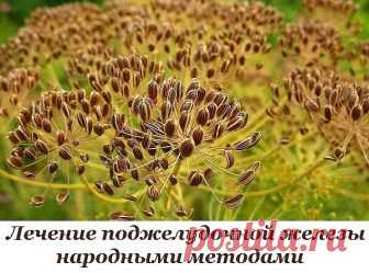 Лечение поджелудочной железы народными методами. То, чего не расскажет ни один врач!

Поджелудочная железа — один из важных внутренних органов человеческого тела, который отвечает за наше пищеварение. Сбой в работе поджелудочной чреват осложнениями и целым рядом заболеваний, таких как панкреатит или сахарный диабет. К счастью, есть прекрасные народные средства, которые помогают лечить этот орган не хуже лекарств. Если у тебя есть проблемы с этим важнейшим органом — наша статья для тебя!