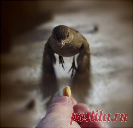 Шедевры фото