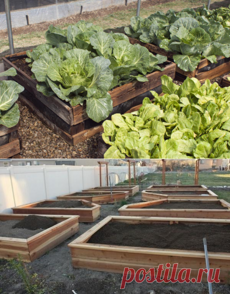 Поднятая грядка своими руками: полезные советы и подробная фотоинструкция