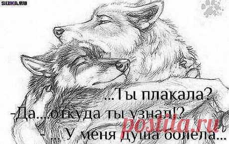 Цените тех, которые приходят в те моменты, когда плохо не им,а вам.