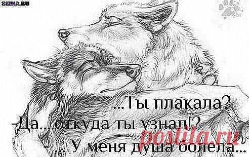 Цените тех, которые приходят в те моменты, когда плохо не им,а вам.