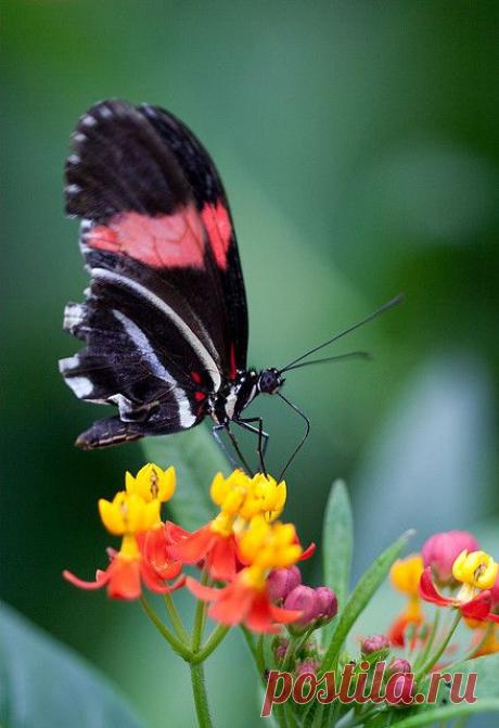 7 | Flickr - Photo Sharing!
