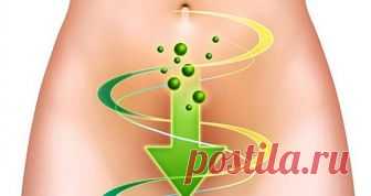 8 НАТУРАЛЬНЫХ СРЕДСТВ, КОТОРЫЕ ОТЛИЧНО ОЧИСТЯТ КИШЕЧНИК