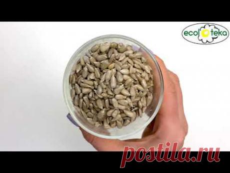 Домашний майонез из подсолнечных семечек