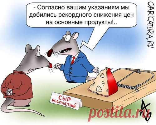 Сыр в мышеловке