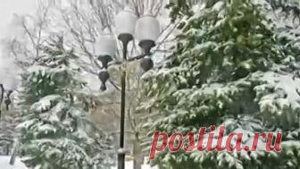 Зима Раймонд Паулс мелодия из фильма 'Долгая дорога в дюнах' красивое музыкальное видео