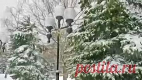 Зима Раймонд Паулс мелодия из фильма 'Долгая дорога в дюнах' красивое музыкальное видео