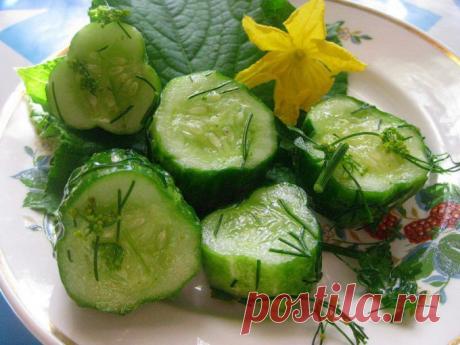 Как просто и быстро приготовиться малосольные огурцы в пакете :: Кулинарные рецепты :: Кулинарные рецепты
