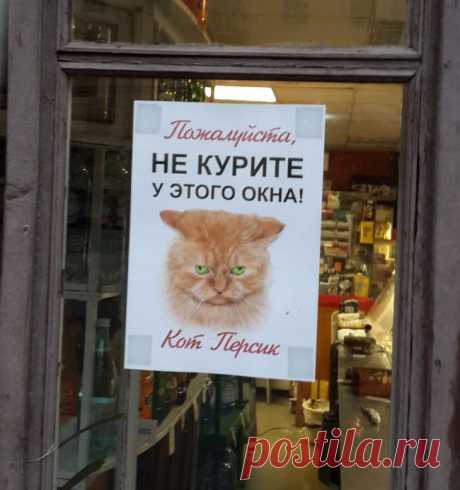 20 объявлений месяца, которыми мы гордимся | ПолонСил.ру - социальная сеть здоровья