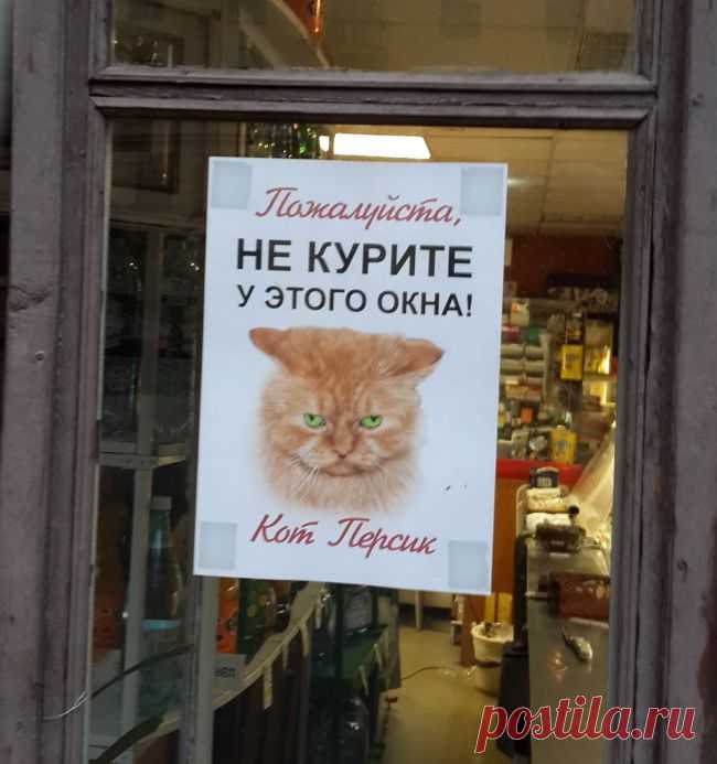 20 объявлений месяца, которыми мы гордимся | ПолонСил.ру - социальная сеть здоровья