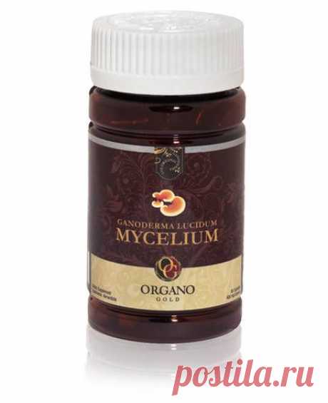 Мицелий | Официальный Органо Голд Сайте Ganoderma Lucidum
PPT_M_othrprdct
90 капсул в бутылке
Собрано из 18-дневного возраста Ganoderma lucidum гриб известен своими антиоксидантными свойствами, а также полисахарид бета-глюкан, которые могут помочь стимулировать иммунную функцию.