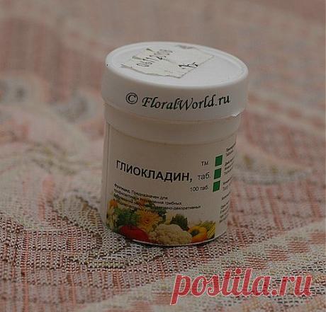 сообщение бама : глиокладин (03:19 22-03-2014) [4545158/318109102] - zelovskaya1949@mail.ru - Почта Mail.Ru