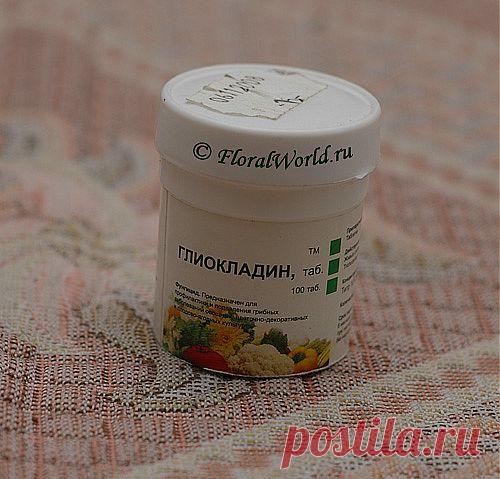 сообщение бама : глиокладин (03:19 22-03-2014) [4545158/318109102] - zelovskaya1949@mail.ru - Почта Mail.Ru