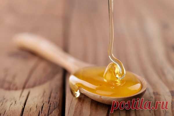 Ложка мёда перед сном - лекарство от болезней и рецепт долголетия