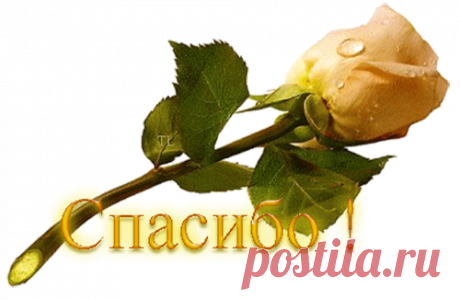 Альбом«Кардиган - Затейливый зигзаг»