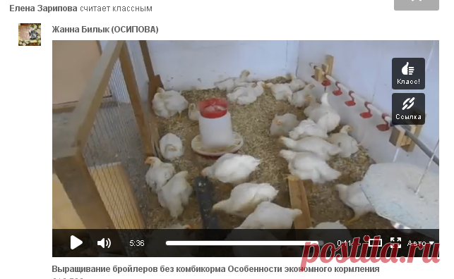 Одноклассники