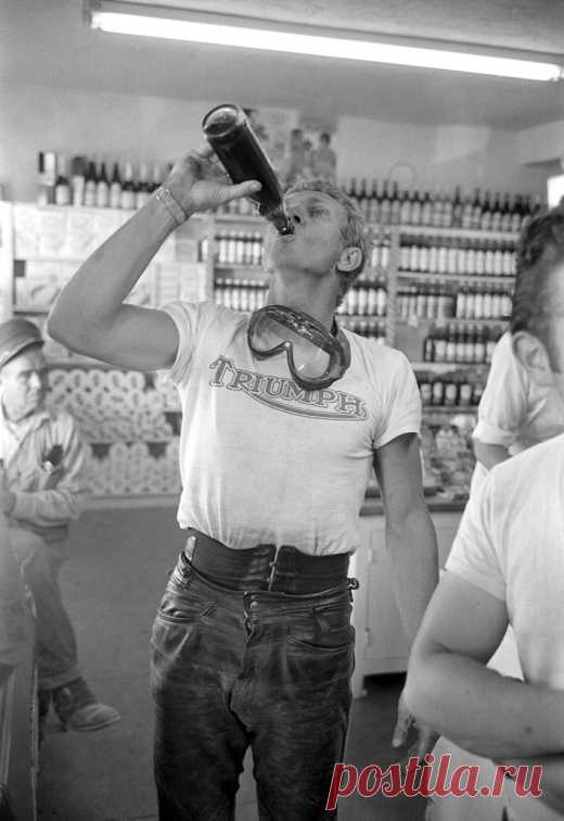 1963. Steve McQueen - photo by John Dominis - p1373 | PastYears.info