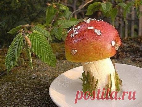 (37) Одноклассники