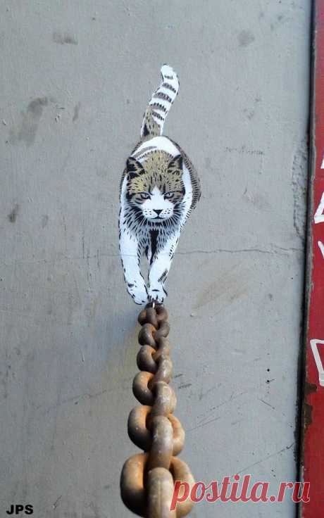 Oscar Bennerdale on Twitter: &quot;Cat - Street Art by JPS https://t.co/vWj6p8aeJA https://t.co/Mtroa01tyX&quot; / Twitter