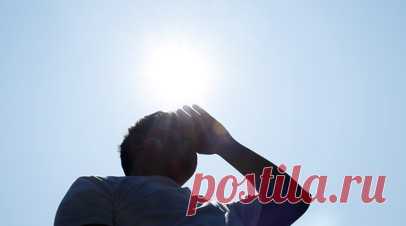 В Японии 18 человек умерли за неделю из-за тепловых ударов. В Японии 18 человек умерли с 28 июля по 3 августа из-за тепловых ударов, более 9,5 тыс. доставлены в больницу. Читать далее