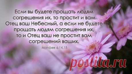 Мысли свт. Феофана Затворника

(Рим.13:11–14:4; Мф.6:14–21)

«Если вы будете прощать людям согрешения их, то простит и вам Отец ваш Небесный; а если не будете прощать людям согрешения их, то и Отец ваш не простит вам согрешений ваших» (Мф.6:14–15). Какой простой и подручный способ спасения! Прощаются тебе согрешения под условием прощения прегрешений против тебя ближнего твоего. Сам, значит, ты в своих руках. Переломи себя и от немирных чувств к брату перейди к искренно мир...