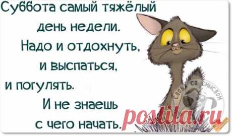 Мы любим наш Омск!