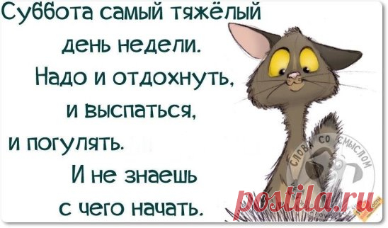 Мы любим наш Омск!