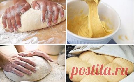 7 видов теста, которые обязательно стоит научиться готовить! | Naget.Ru