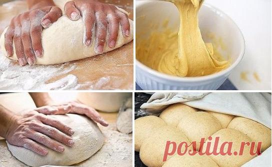 7 видов теста, которые обязательно стоит научиться готовить! | Naget.Ru