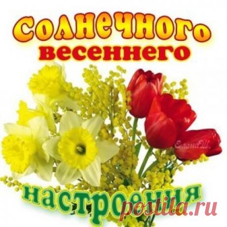 Весенние открытки - цветы, подснежники, букеты